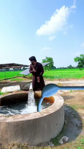 Part 2|Tubewell pani💦pee giya #for u #usatiktok #ukfunny 