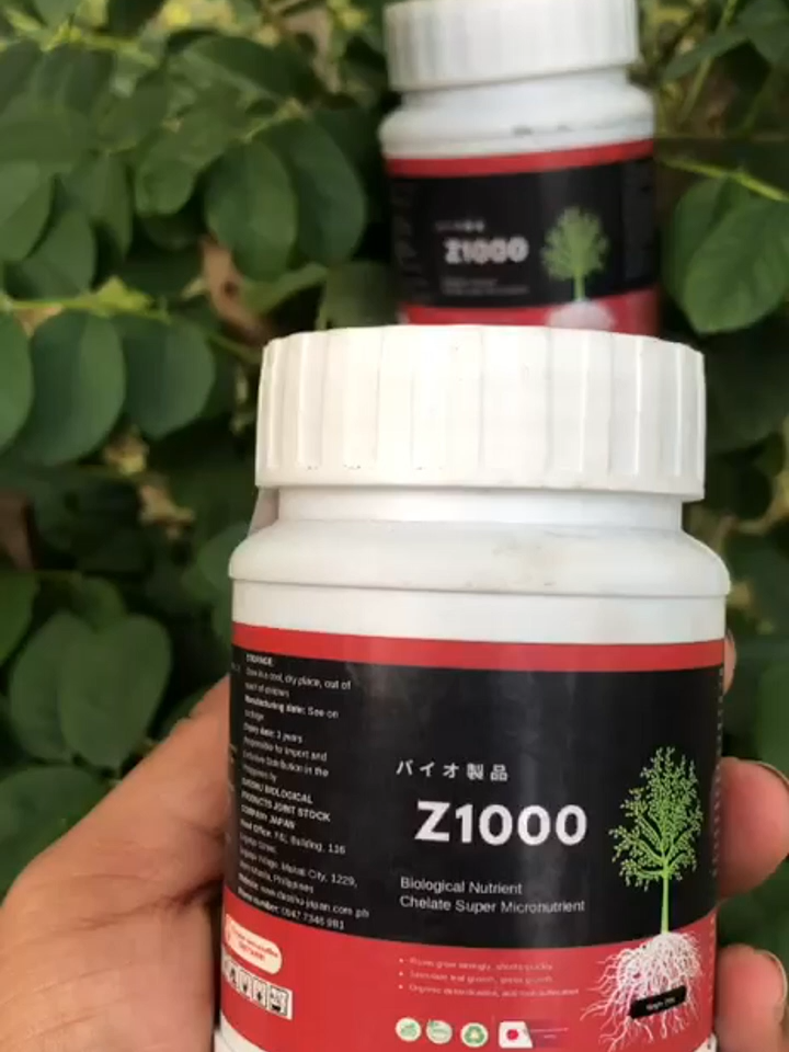 Beli 1 Gratis a Pupuk Dasshu Z1000 Jepang#dasshuz1000 #pupukjepang #bolotani