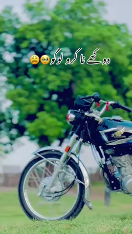 #سنگت_ویڈیو_وائرل_کریسو_آپ_ہیں🥀🌼🙈✨🎇 #foryoupage❤️❤️ #viralvideos #repost @⚔️Sardar⚔️🗡 @mursaleen khand @ملنگ🤦 @S A R K A R🤐🥷 