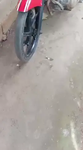 Fu wunkul
