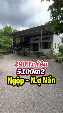 Lh e Linh không35.3.238.62.2. #bds #trending #viral #xuhuong #datbinhphuoc