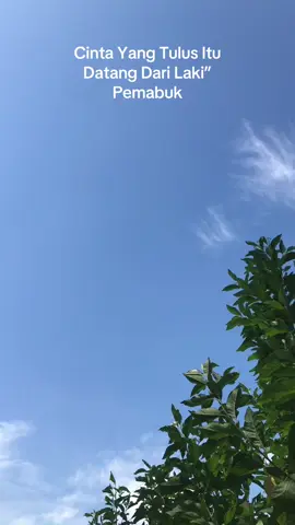 #fypviralvidio #tiktok #tuanrumah #naralio #anaranda 