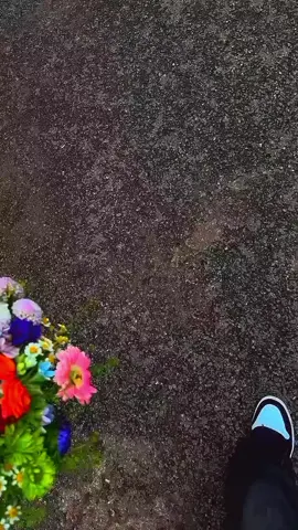 #ستوريات #كلام_من_القلب #fyp #foryou #creatorsearchinsights 