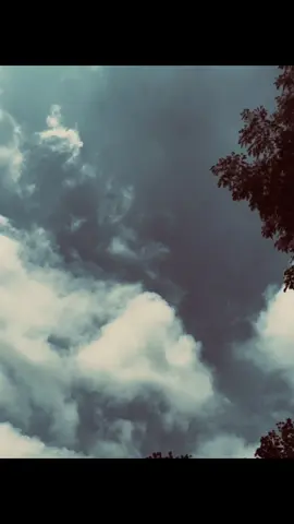 New skay BG কার লাগবে নিয়ে নাও !  . . . #caption #trending 