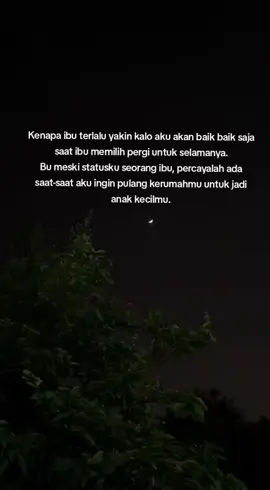 bagaimana dengan diriku Bu, disaat anak anak lain bisa pulang kerumah orangtuanya sebagai anak meski statusnya seorang ibu, tapi tidak denganku 🥀. #ungkapanhati  #rinduibu  #katakatasedih  #kata  #katakata 