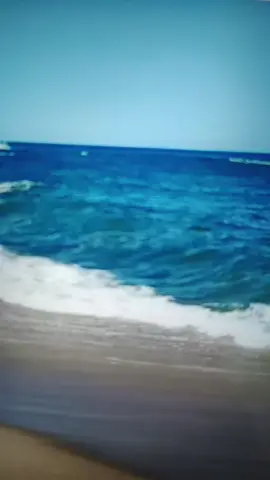 #quotestory #taiwan🇹🇼 #ponorogo_kota_reog #fypシ゚ 