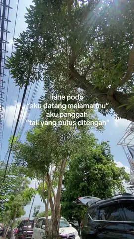 😇😂 #digodatrans #elfmaniacintaindonesia #sewaelfbojonegoro #foryou #fyp 