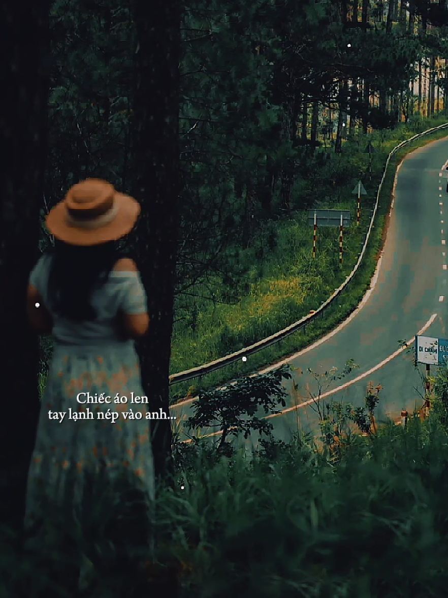Khói sương bay như dáng em ngày đó chiếc áo lên tay lạnh nép vào anh... [ Đà Lạt Còn Mưa Không Em _ Tro Music ] #dalatconmuakhongem  #nhacbuontamtrang  #tramcamxuc💔  #maucapcut  #gocphoamnhac1991 