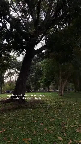 di cuekin balik #storysingkat #sad #fypシ #galaubrutal #healing #storysad #galau #katakata #fyp #sadstory 