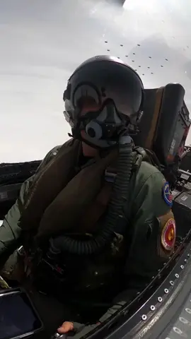 #flypシ 