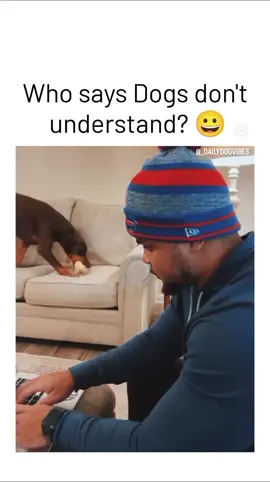 ☠️☠️☠️🤣🤣🤣 #furbabiesoftiktok #dogsoftiktok #annoying #funny #playtime 