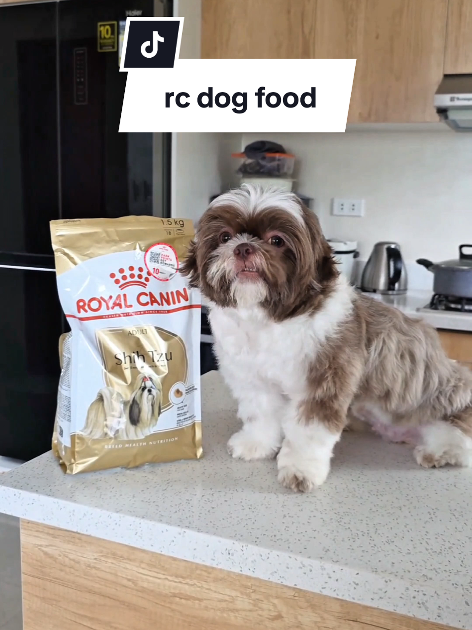 dog food reco for shihtzu 🫶 #dogfood #dogdryfood #dogkibble #royalcanin #royalcanindogfood @royalcaninph 