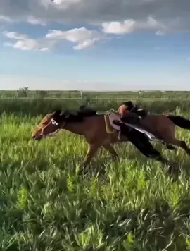 hashire uma musume #umamusume #run #horse #fyp #fypシ 