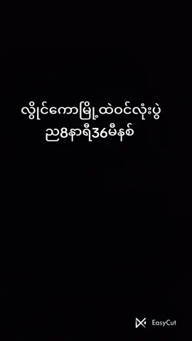 #လွိုင်ကော်မြို့ #တိုက်ပွဲ #PDF #P3. #1102 