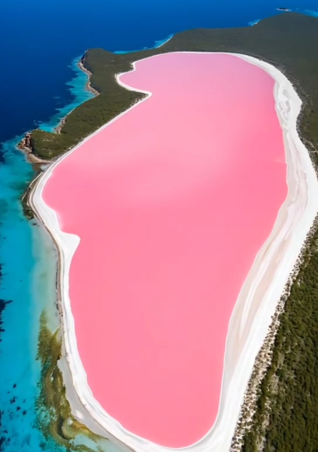 Danau Berwarna pink #danau #danauhillier 
