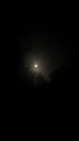 اکھیاں کرن سوال وے ماہی ویکھ لے ساڈا حال وے ماہی چار چوفیرے ویری ملیا راہواں بنیاں جال وے ماہی تیرے ہوندیاں جگ سی میرا توں کیتا کنگال وے ماہی اکھ بدلن، اکھ لاون دے وچ تیرا عجب کمال وے ماہی❤️‍🩹 #foryou #fypシ゚ #poetry  
