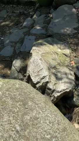 tiis ceuli herang mata 💆🏻‍♀️ #karawanginfo #curugcigentiskarawang 