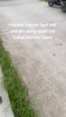🤭@alpngntng_ #ojingblorautara #masukberandafyp #fyppppppppppppppppppppppp #blora24jam #cichagogank🚀 