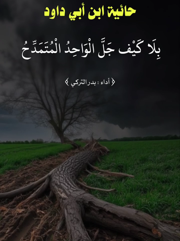 #الادب_العربي #السعوديه🇸🇦💚 #اكتب_شي_توجر_عليه #اكسبلورexplore 