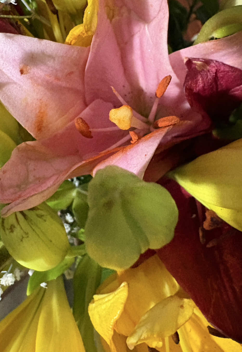 Amarte antes de ser.  #pizarnik #fyp #poetrystatus #poetry #iloveyou 