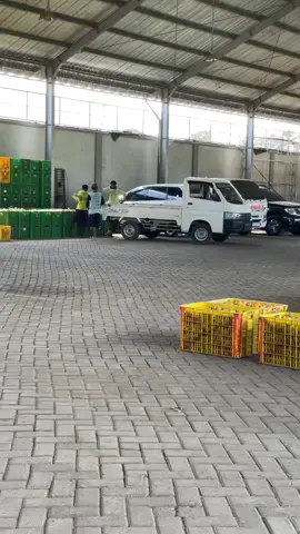 Suwe gak mosting bos 