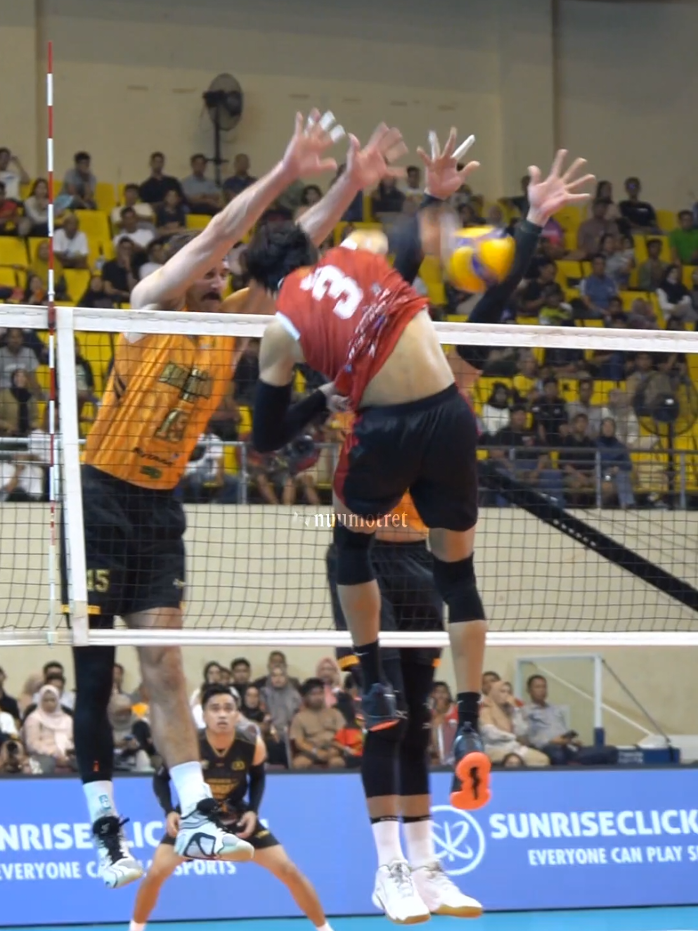 boy arnez #nuumotret #voliasik 