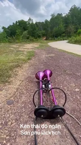 Kèn thái độ ngân#phukienototoanquoc #phụtungoto #phukienototonghop 