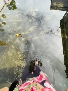 😎🩹#sobai_support_korben_ #fppppppppppppppppppp #foryoupageofficiall #vairalvideo 