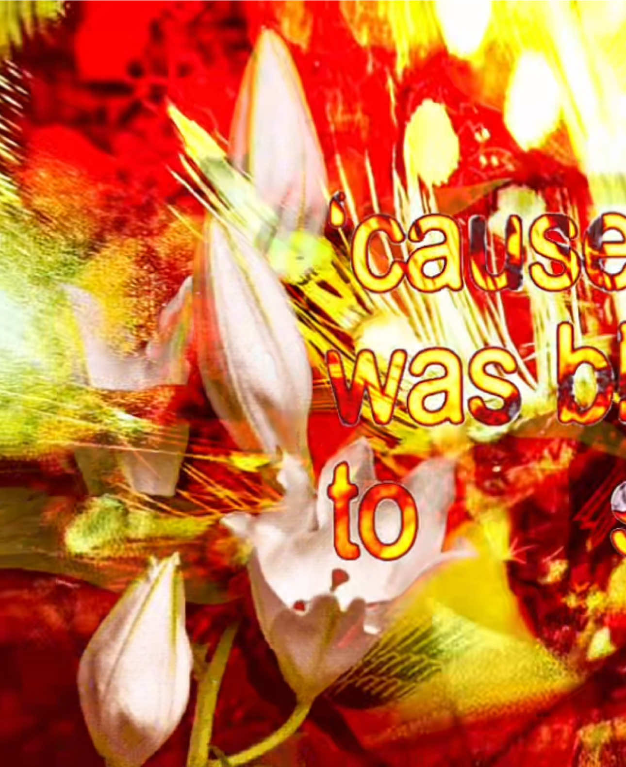 #infrunami #stevelacy #edit #lyrics #targetaudience 