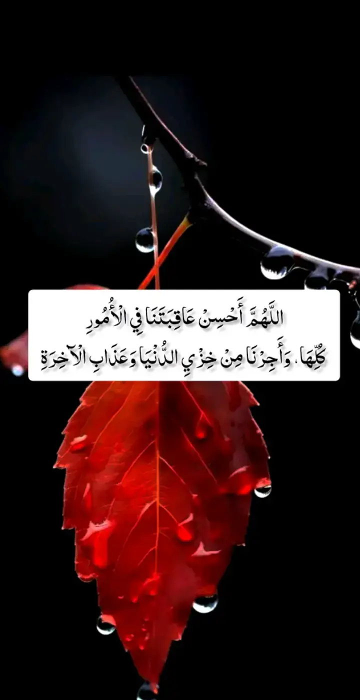 خدا اور اس کے فرشتے آپ ﷺ پر درود بھیجتے ہیں۔ اے ایمان والو۔۔!! تم بھی ان ﷺ پر درود و سلام بھیجو۔۔۔!! 🌸 ‏اَللٰهمَ صَلِ عَلٰی محَمَدٍ وَ عَلٰی اٰلِ محَمَدٍ کَمَا صَلَیتَ عَلٰی اِبرَاهِیمَ وَ عَلٰی اٰلِ اِبرَاهِیمَ اِنَکَ حَمیدٌ مَجِیدٌ○ 🥀 اَللٰهمَ بَارِک عَلٰی محَمَدٍ وَ عَلٰی اٰلِ محَمَدٍ کَمَا بَارکتَ عَلٰی اِبرَاهِیمَ وَ عَلٰی اٰلِ اِبرَاهِیمَ اِنَکَ حَمیدٌ مَجِیدٌ○ 🖤. . . . #islamabadbeautyofpakistan #Islamabad #islamicrepublicofpakistan #Pakistan #beautifuldestinations #beauty #blogger #bloggersofinstagram #MargallaHills #mountains #live #dawndotcom #lateefgabol  #morningvibes #northernareasofpakistan #rainbow #winter #islamabadians #Lahore #trending #rainyday #etribune #potraitphotography #mountainview #LHR #LahoreRang #Lahore #lahorephotographylaho😍 ❤️ 💯💙💞 ‘ ‘ ‘ ‘ ❤❤ #cricketwithfahad   #bestphotochallenge  #photography #cricketwithfahad #cricketfansclub #CricketNation  #photographychallengechallenge  #MuhammadRizwan #Rizwan #rizwanfans  #BabarAzam #cricket  🔹🔹 🔹🔹 🔹🔹 🔹🔹 🔹🔹 #BestPhotographyChallengeio￼ #moodchallengemoodchallenge #BestPhotographyChallenge #moodchallengemoodchallenge #bestchallenge #beauty #photographychallengechallenge #moodchallengechallenge• #BestPhotographyChallenge￼ #moodchallengemoodchallenge #BestPhotographyChallenge #moodchallengemoodchallenge #bestchallenge #photographychallenge #photographychallengechallenge #Room #filter #fyp #foryou #viral #viral_video 