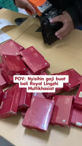 Berawal dari nyisihin gaji buat beli Royal Lingzhi Oil, eh badan jadi ngga gampang capek & binjil mulai mengecil 🤩😇 #royallingzhi #herbalroyallingzhi #fyp #jamurlingzhi #herbalalami 