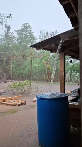hujan di gunungkidul #hujan #pedesaan #gunungkidul