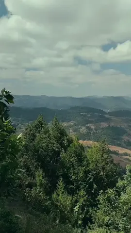 #onthisday #viralvideos #አማራዬ💚💛❤አማራዬ💚💛❤ @TikTok #ጎጃም_ጎንደር_ወሎ_ሸዋ❤️❤️ #አንድ_አማራ_ለሁሉም_አማራ💚💛❤ 