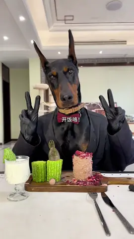 連罐頭都拿不住⋯這雙手還得練！#狗狗 #狗狗吃播 #沉浸式 #杜賓犬 #八戒的朋友圈 
