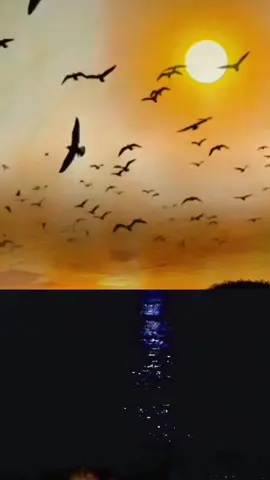 SHALAWAT BADAR #CapCut #shalawatbadar #shalawatviral #shalawatnabi #tiktok 