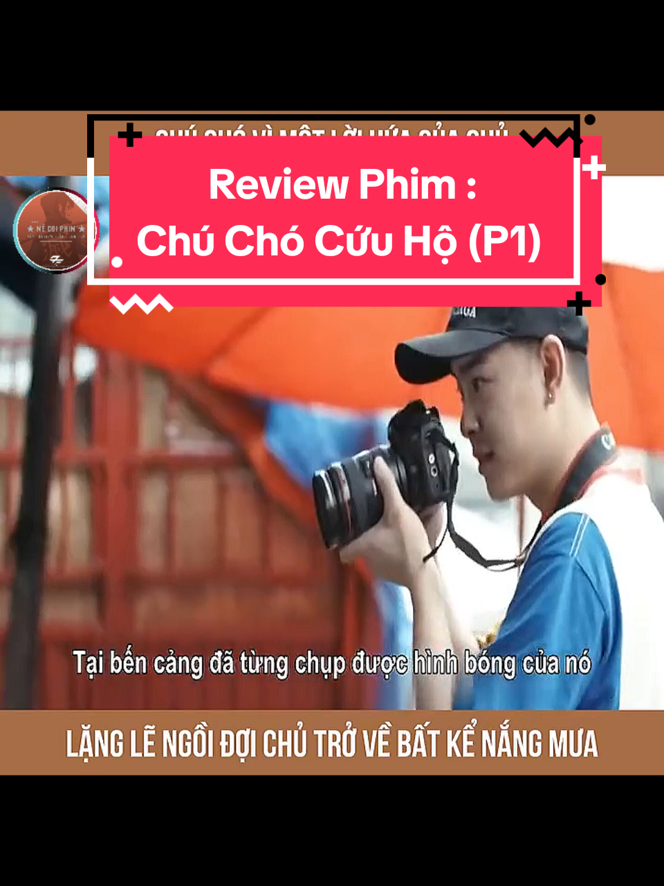Reveiw Phim : Chú Chó Cứu Hộ (Phần 1) #phimhaytiktokk #reviewphim #tomtatphim #phimhay24h #phimhaymoingay 