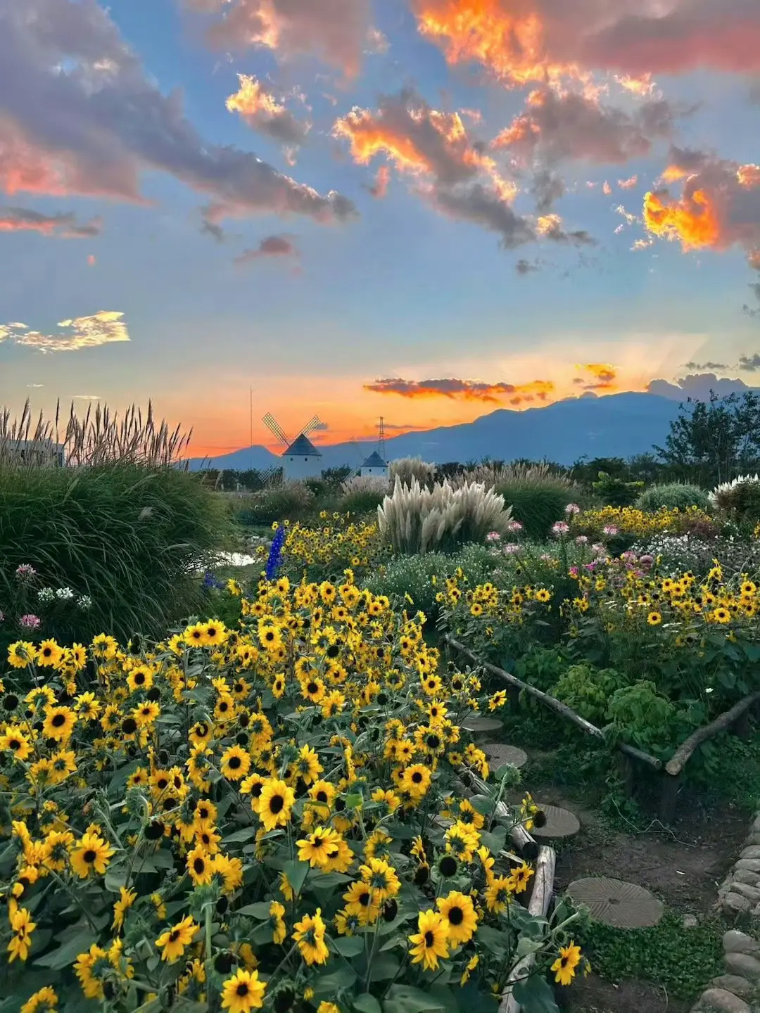 Các loài hoa p2 ✨#xuhuong #hinhnen #weibo #flowers #chill 