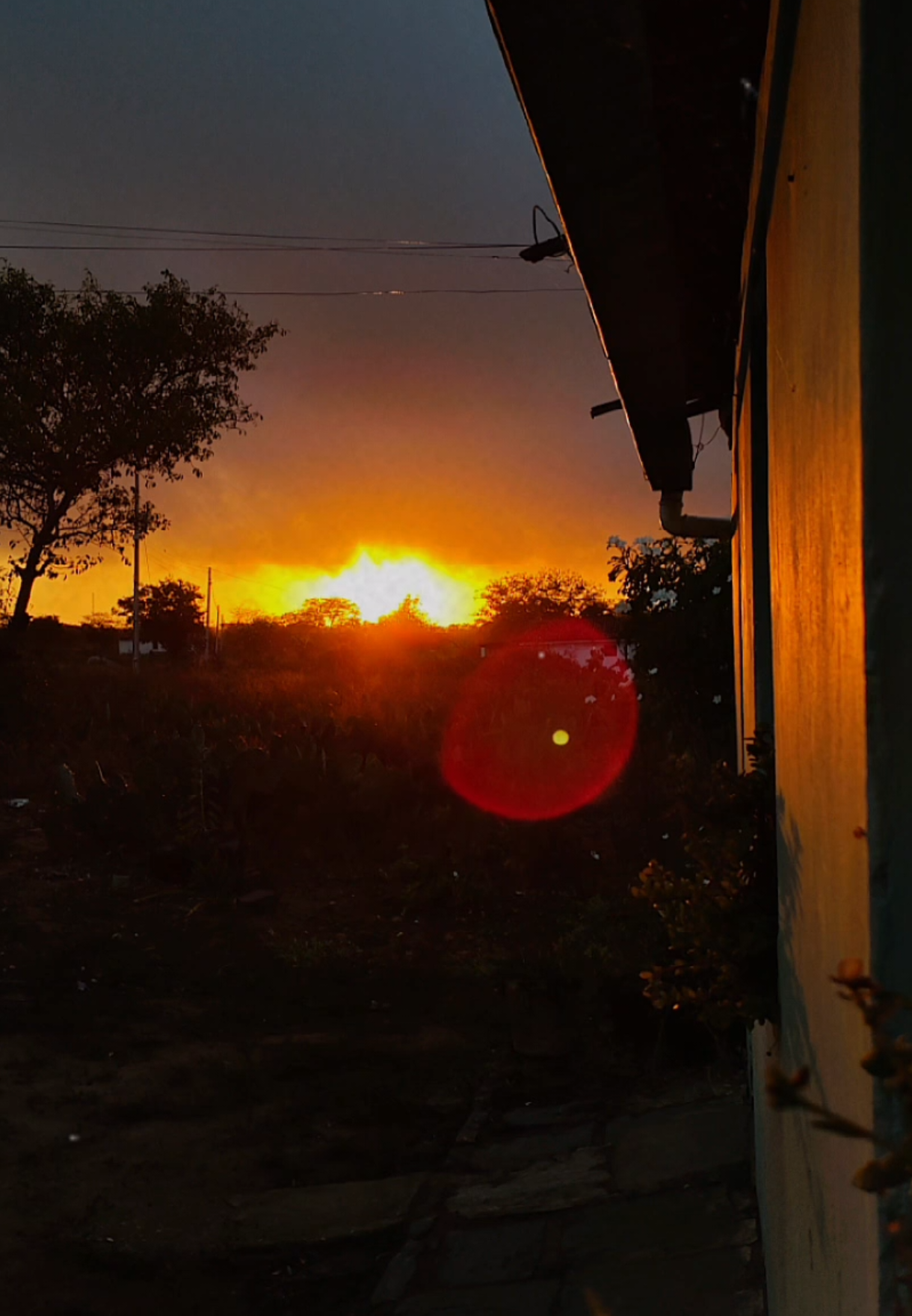 #motivacional #reflexaododia #reflexaodevida #sejagrato #motivacao Autor do áudio: @Bulfete operador 🥊 