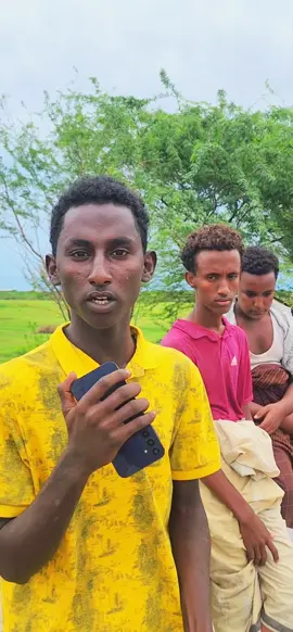 #creatorsearchinsights  #ethiopian_tik_tok🇪🇹🇪🇹🇪🇹🇪🇹 #fyp #viral @ibnu M/d 2 