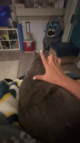 We tried to do this trend but she wasn’t having it