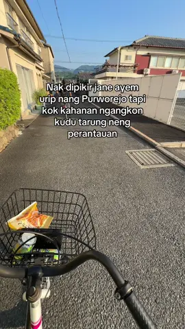 umum e wong urip #kenshuseijapan🇮🇩🇯🇵🎌 #purworejo24jam #purworejo #fypage #lewatberanda 