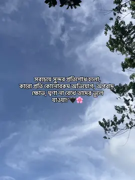 সবচেয়ে সুন্দর প্রতিশোধ হলো, কারো প্রতি কোনোরকম অভিযোগ, অপবাদ, ক্ষোভ, ঘৃণা না রেখে তাদের ভুলে যাওয়া!'🖤🌸#fyppppppppppppppppppppppp #foryou #1m #viralvideo #foryoupagey #bdtiktokofficial #everyone #forever #fypシ゚viral 
