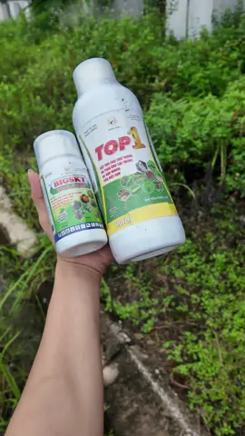 2 siêu phẩm của nhà Kinh Bắc đây ạ#xuhuong #nongnghiep #kinhbac #thuocbvtv 