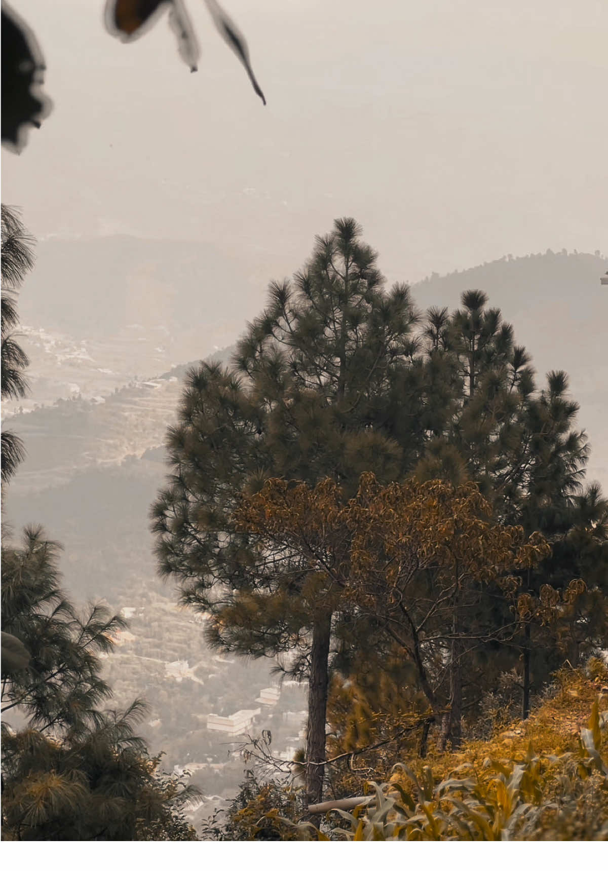 …🥰❤️‍🩹🥺….#foryoupage #1millionaudition #poshto_poetry #lines💔 #trending 