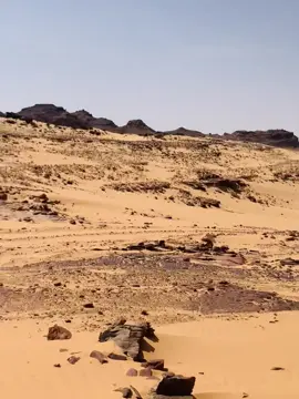 #الشعب_الصيني_ماله_حل😂😂 #fypdongggggggg #fyp #هلكس2024 #جزائري🇩🇿 @فجعه 2.7000 حساب احتياطي🔥✌️ @اشماوي الهيبه🔥🦅🇱🇾 @عابر السبيل🐺 @مختار كوصيمي 🔥 @ابراهيم محمد @ذآئب وحيد✨🖤 @ابراهيم 999 @اسكندر 🦅🦅 [1425]هـ🃏 