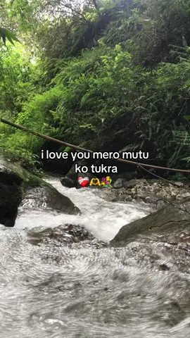 ❤️‍🩹🫶💐#maniltamang #maniltamang005 