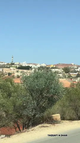 #rif #temsaman #tmazight #alhoceima #nador 