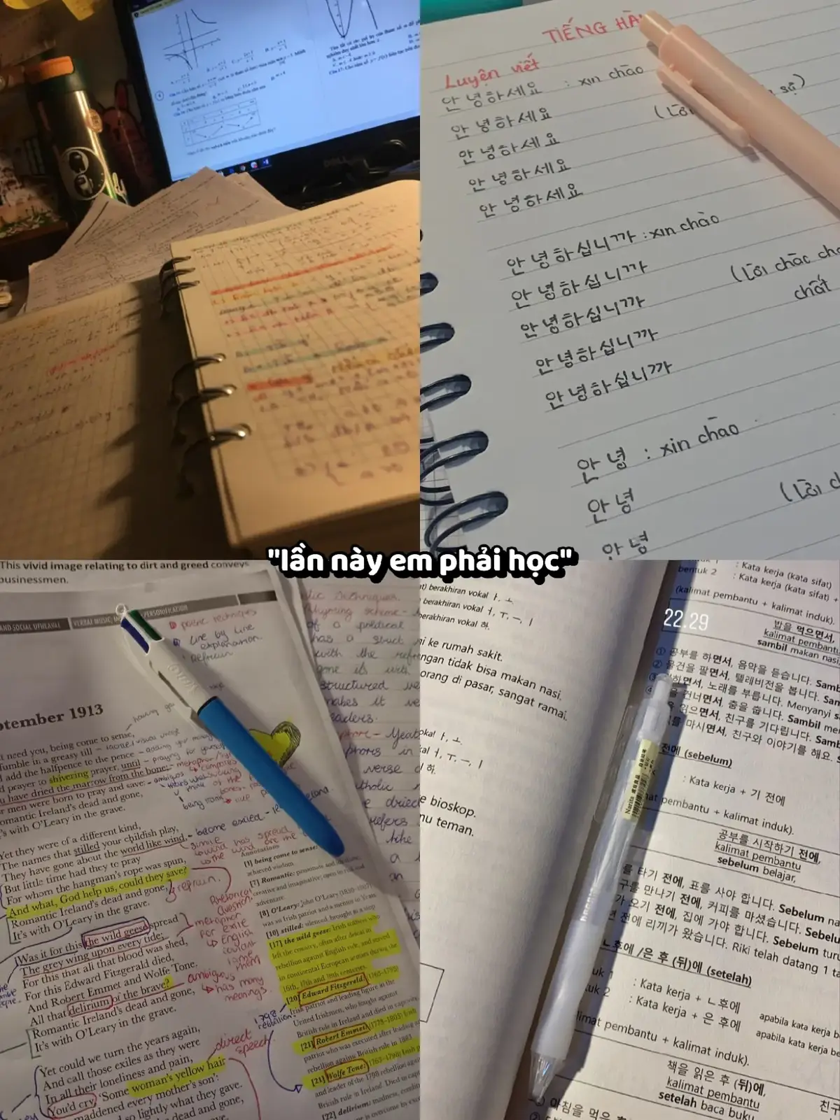 #yonseiuniversitaskorea #c_sinh #yonseiuniversity #yonsei #thivisha 