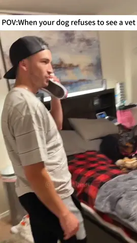 When your dog refuses to see a vet#funny #TikTok #usa🇺🇸 #dogsoftiktok #dogs#doglife#doglover #funnydog#foryou #fyp #dogvideo #foryourpage #foryou 