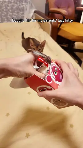Over 1100K people's common choice, and I also recommend this toy to my friend Fiona#olebrandselect #backtoschool #fentysuperbrandday #catsoftiktok #cattoys #catsofttiktok #cats #cattoy #dealsforyoudays #potaroma #flappybird #cat #fyp 